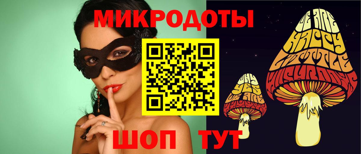 Санкт-Петербург  Галлюциногенные грибы Psilocybine cubensis  Вход с VPN 